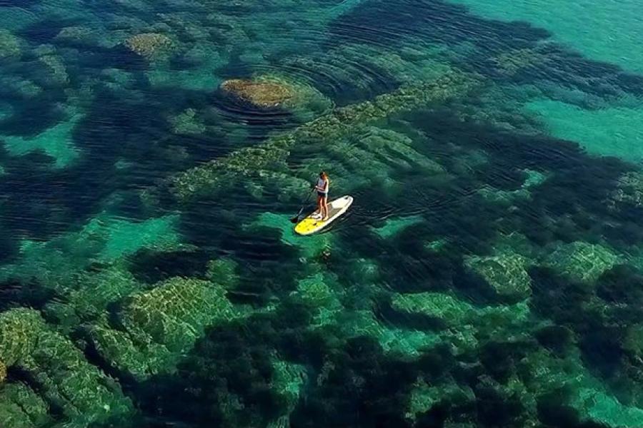 Laissez-vous tenter par le stand up Paddle !